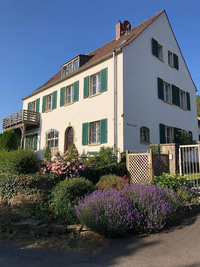 Exklusives Ferienhaus In Top Lage Mit Pool, Sauna, Terrasse - Der Johannishof Wurzburg 0*,  Germany