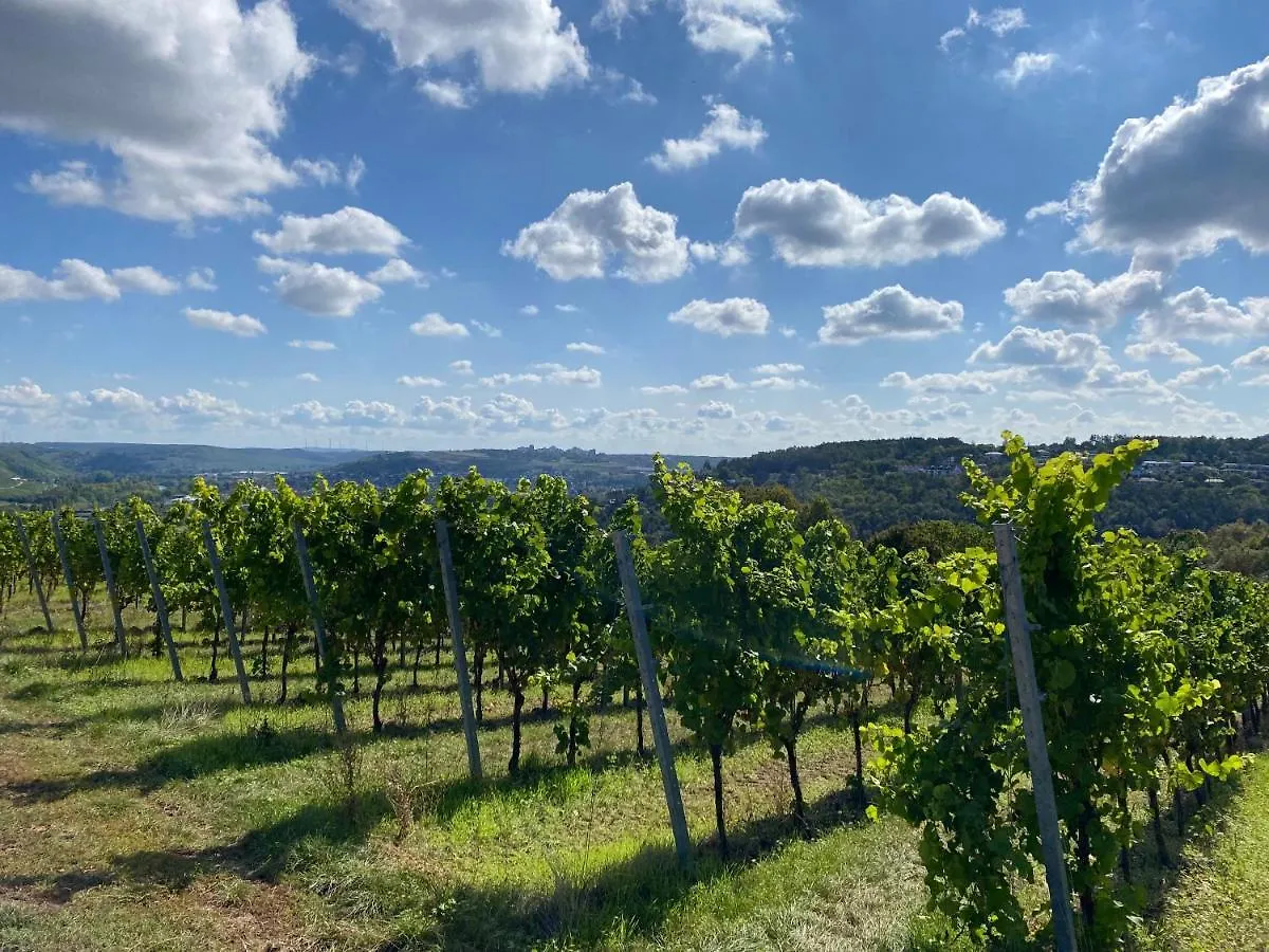 Exklusives Ferienhaus In Top Lage Mit Pool, Sauna, Terrasse - Der Johannishof Wurzburg Holiday home