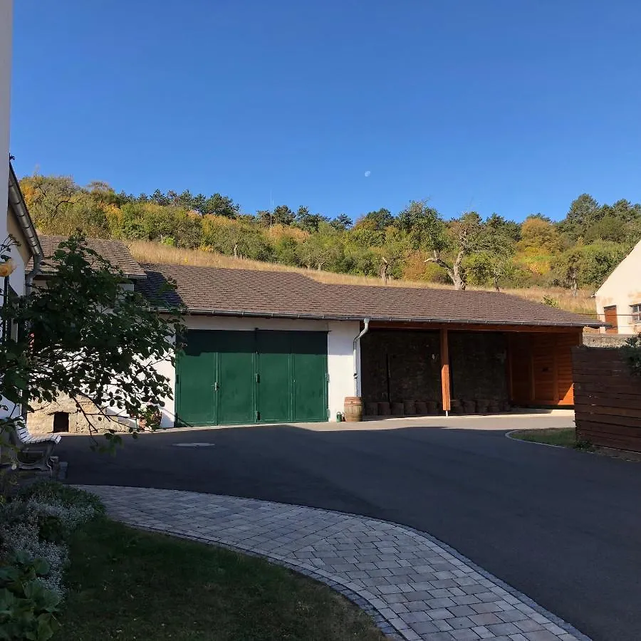 Exklusives Ferienhaus In Top Lage Mit Pool, Sauna, Terrasse - Der Johannishof Wurzburg
